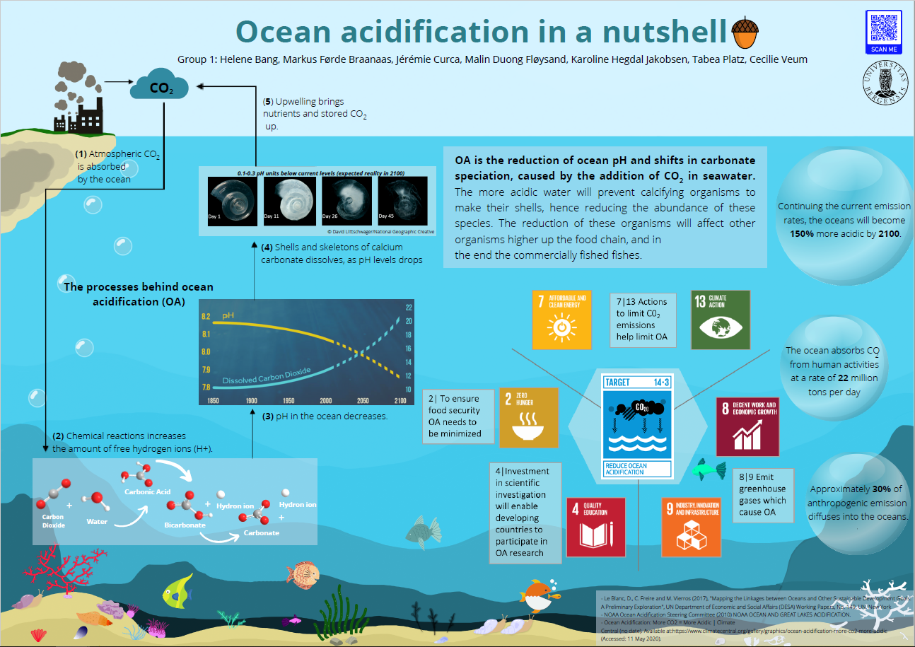 Ocean Acidification in a Nutshell – bioPITCH