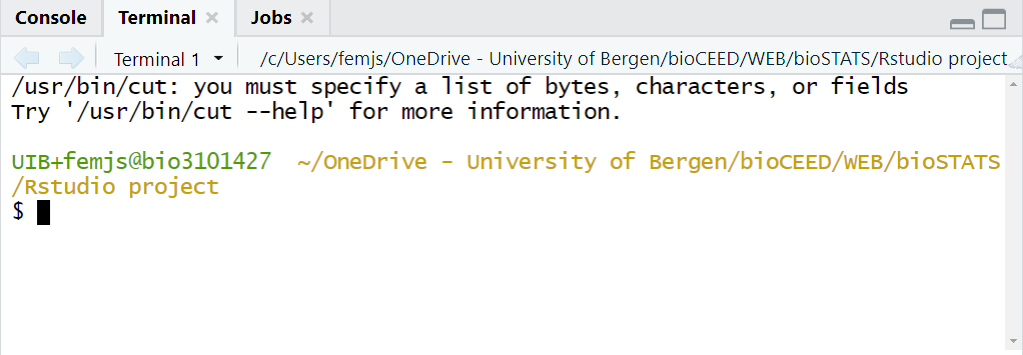 _The tab_ Terminal _allows for running commands outside of the R environment._